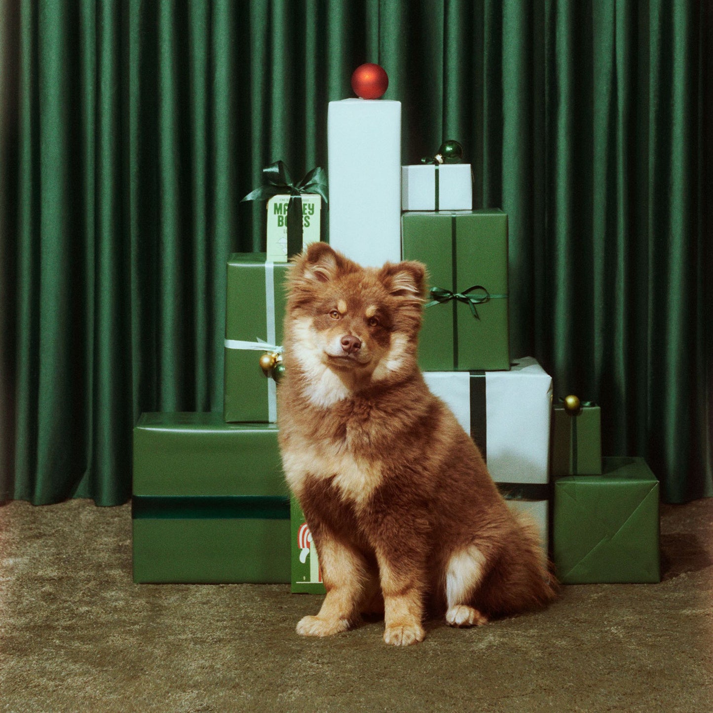 Christmas Advent Calendar x 7