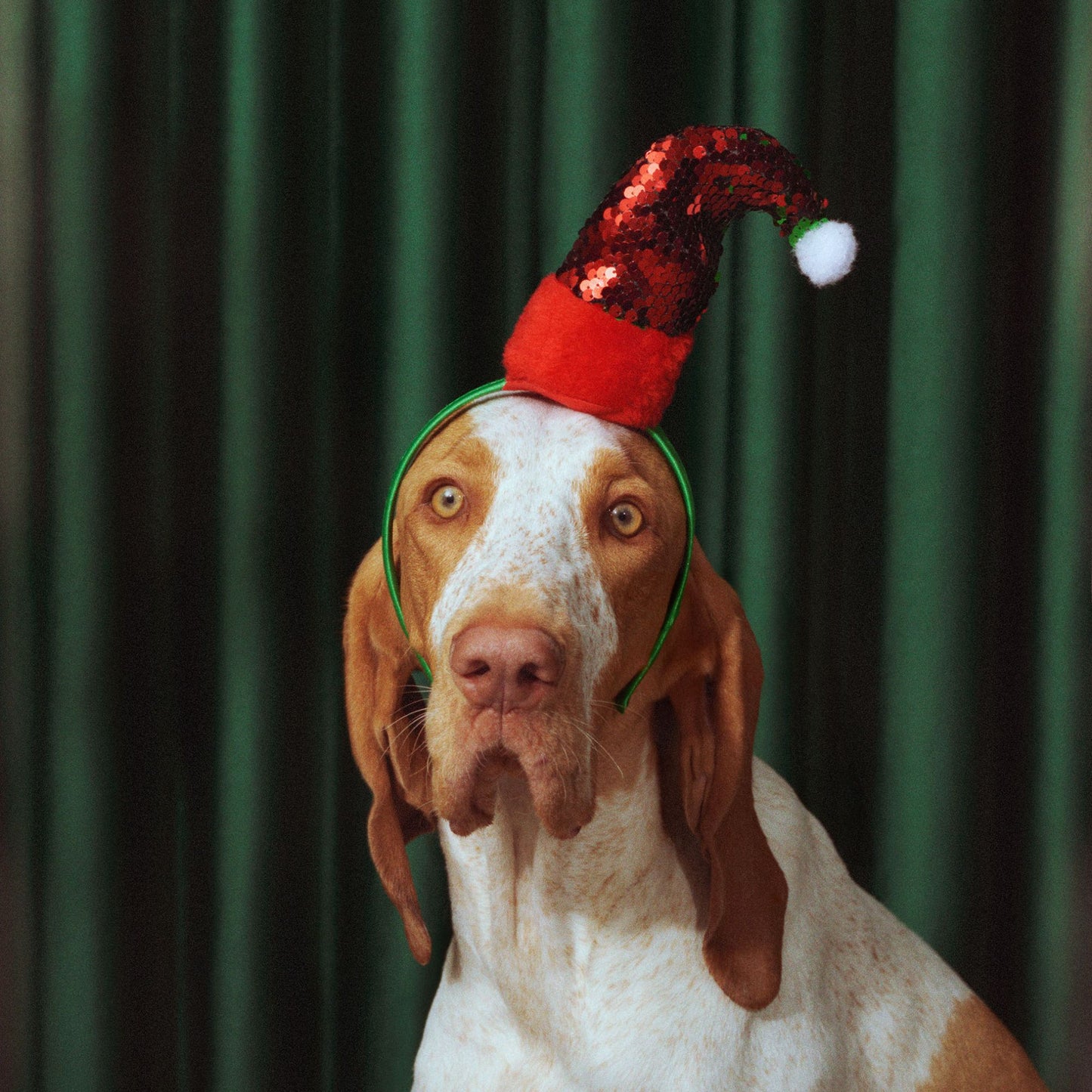 Christmas Advent Calendar x 7