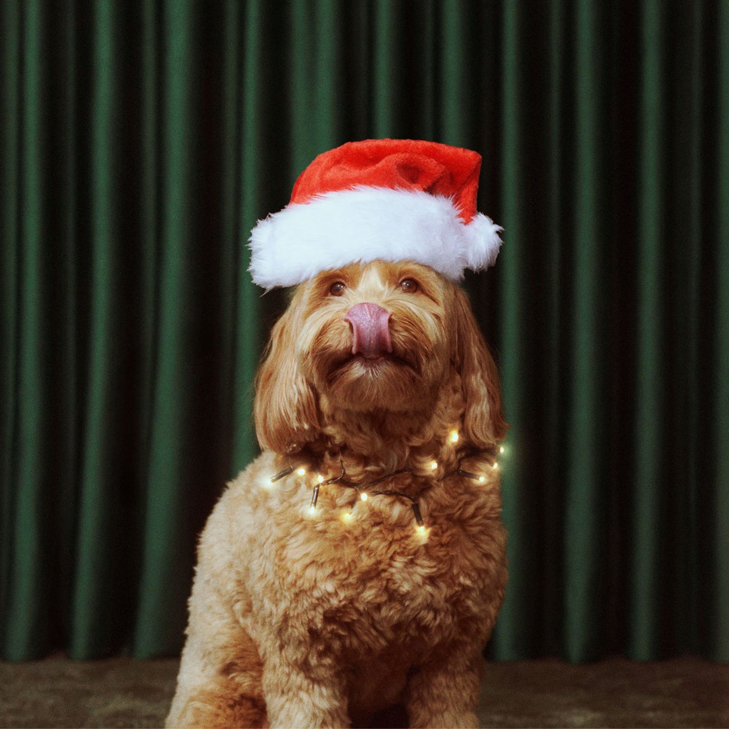 Christmas Advent Calendar x 7