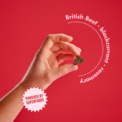 Air-dried Beef Treats 70g x 6